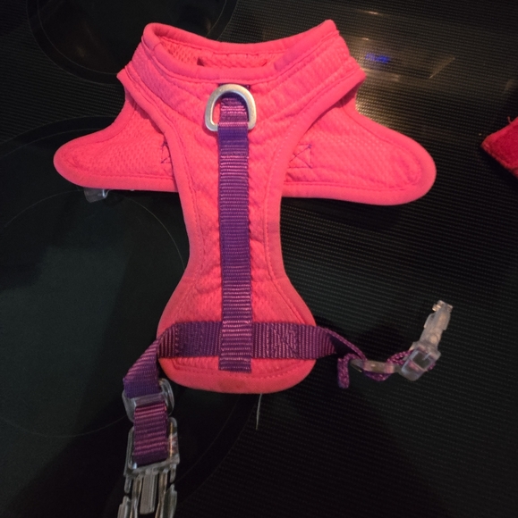 Dog Summer Harness - Picture 2 of 2